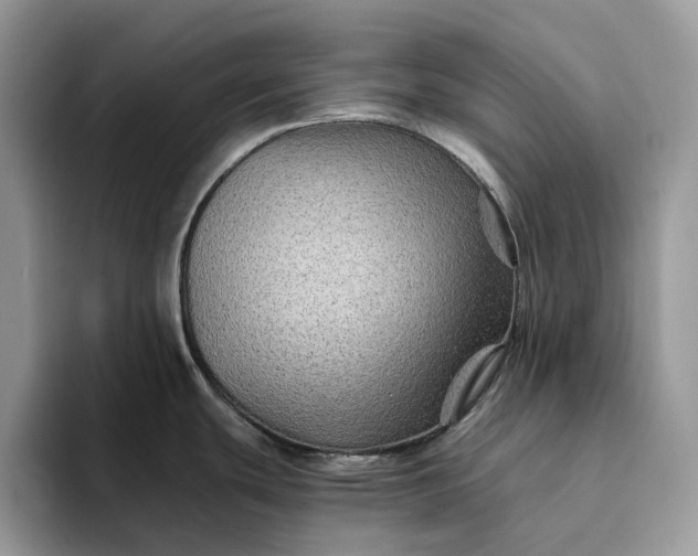 X0000094181439200711091134