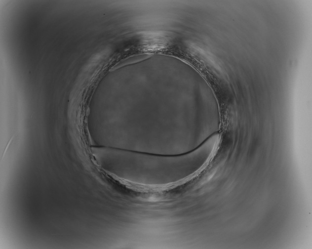 X0000094181441200711091134