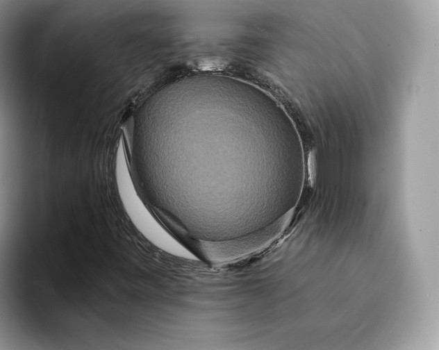 X0000094181443200711091134