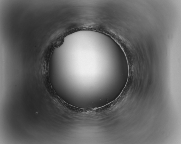 X0000094181447200711091134