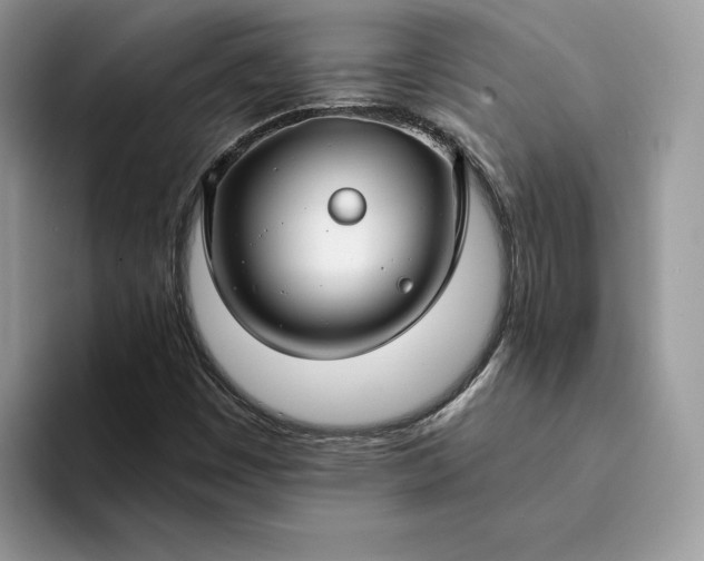 X0000094181449200711091134