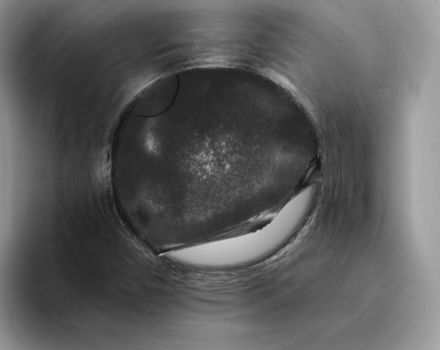 X0000094181450200711091134