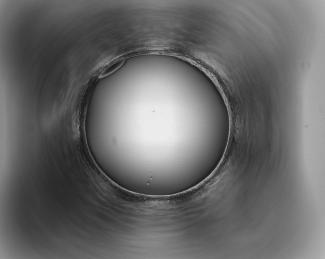 X0000094181451200711091134