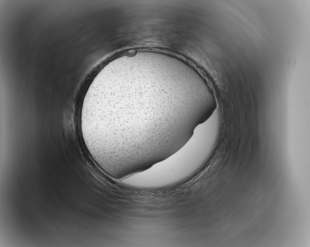 X0000094181452200711091134