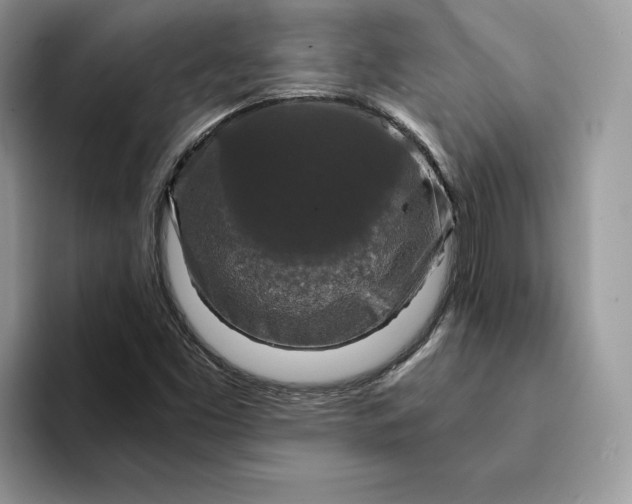 X0000094181453200711091134
