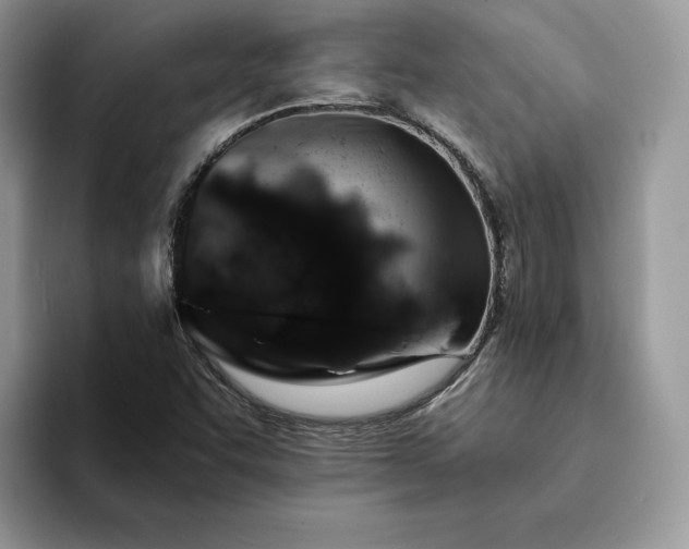 X0000094181455200711091134
