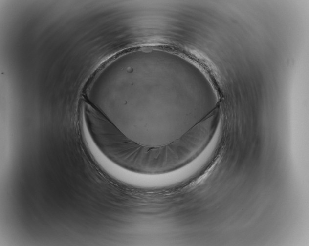 X0000094181457200711091134