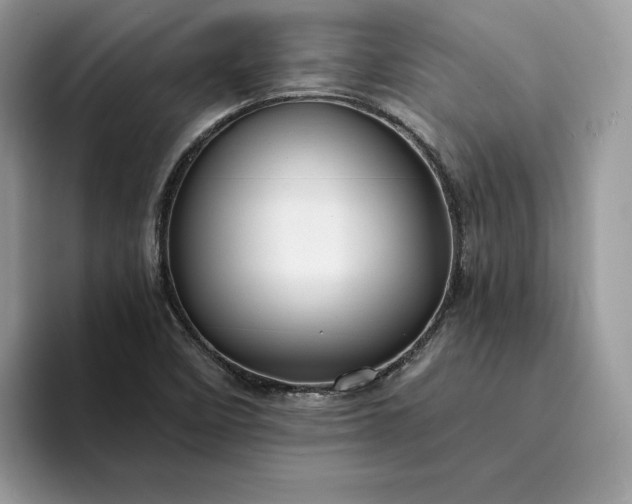 X0000094181458200711091134