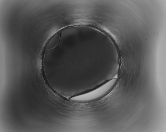 X0000094181459200711091134