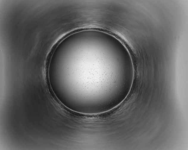 X0000094181460200711091134