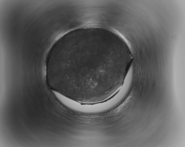 X0000094181461200711091134