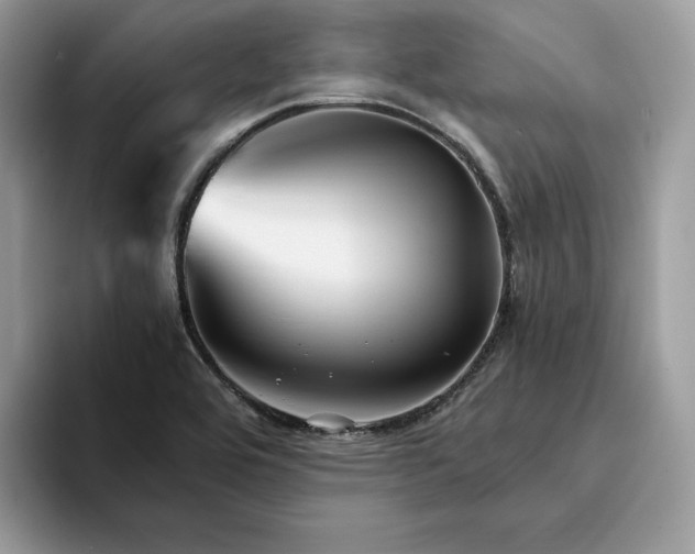 X0000094181464200711091133