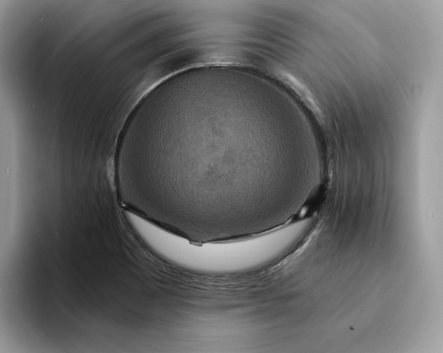 X0000094181465200711091133