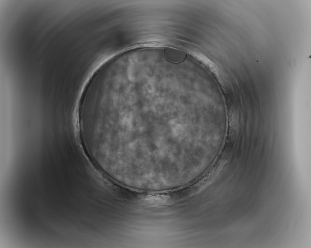 X0000094181466200711091133
