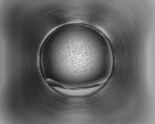 X0000094181468200711091133
