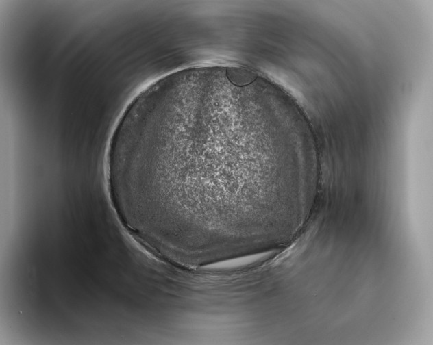 X0000094181471200711091133