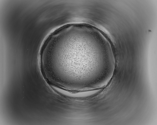 X0000094181472200711091133
