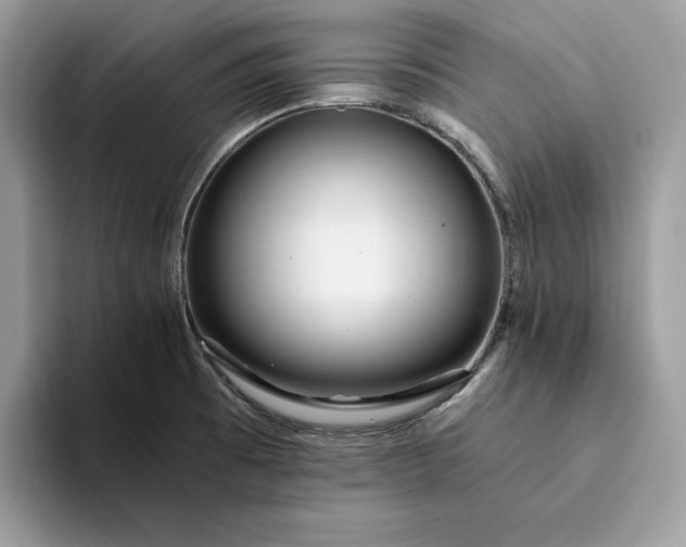 X0000094181473200711091133