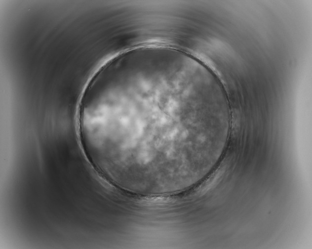 X0000094181474200711091133