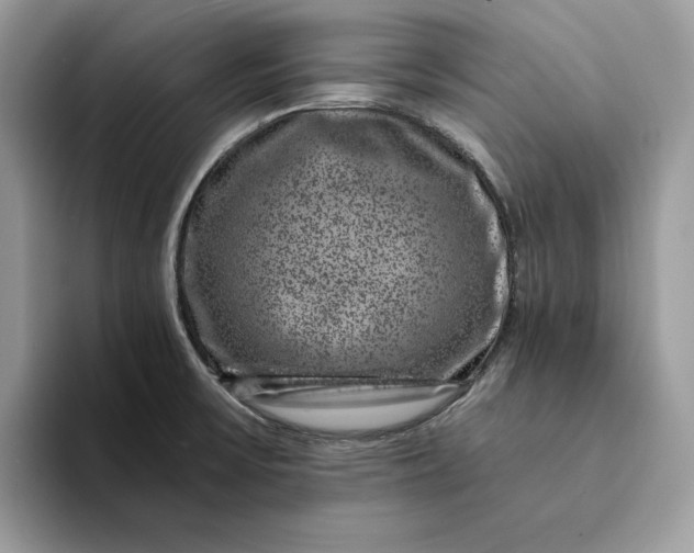 X0000094181475200711091133