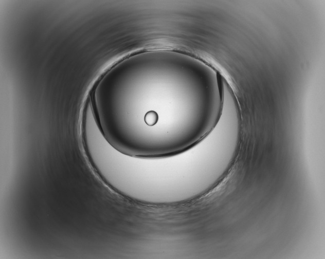 X0000094181477200711091133