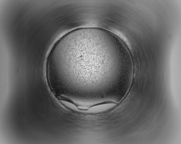 X0000094181480200711091133