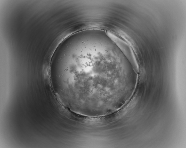 X0000094181481200711091133