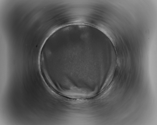X0000094181482200711091133