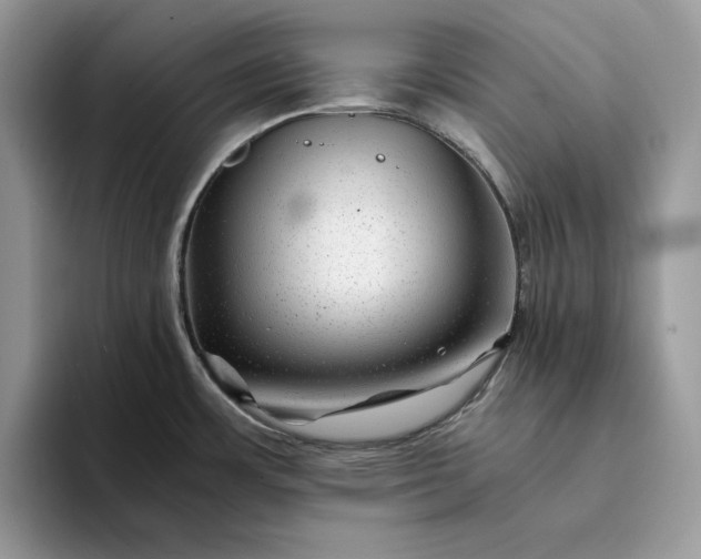 X0000094181483200711091133