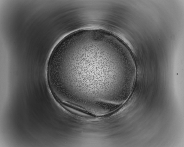 X0000094181484200711091133