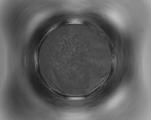 X0000094181487200711091133