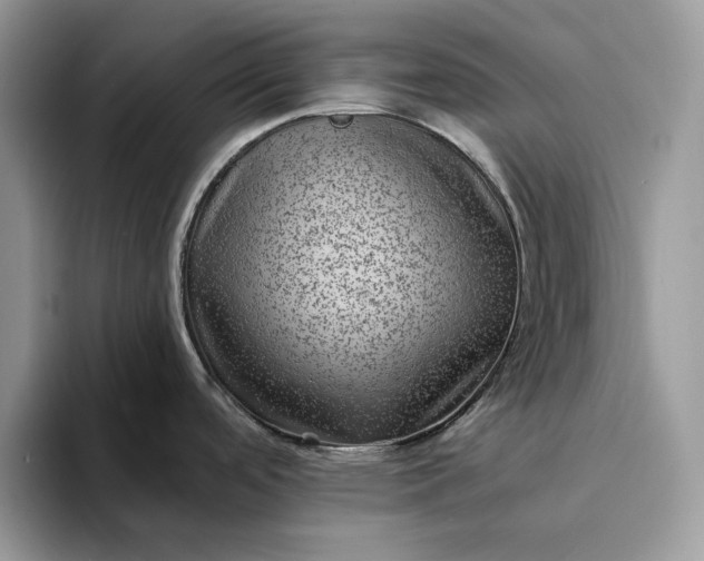 X0000094181488200711091133