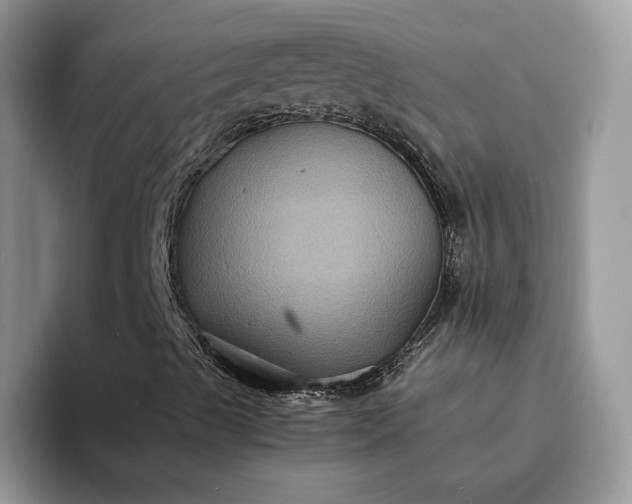 X0000094181489200711091133