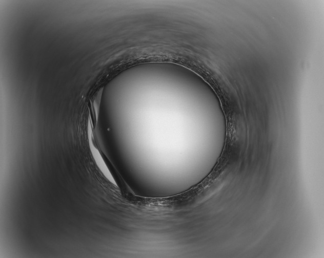 X0000094181490200711091133