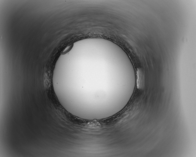 X0000094181491200711091133