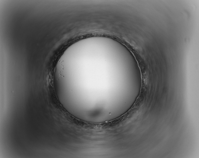 X0000094181495200711091133