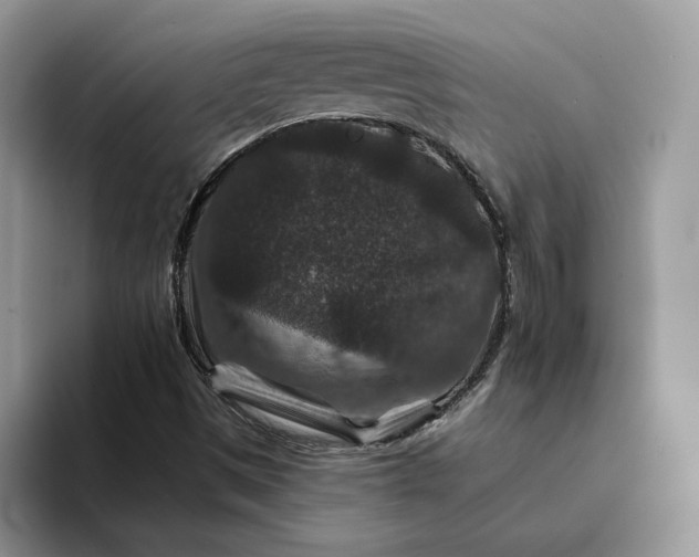 X0000094181497200711091133