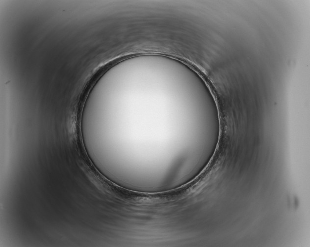 X0000094181499200711091133