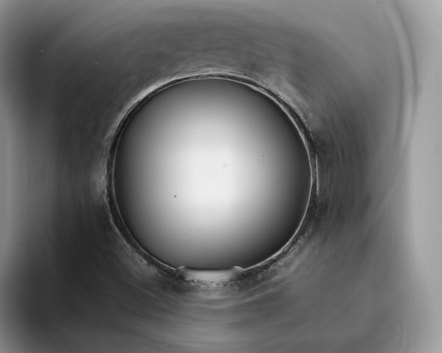 X0000094181500200711091133