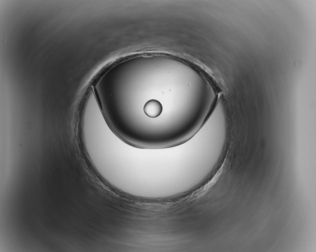 X0000094181502200711091133