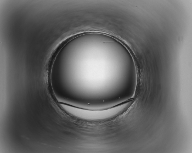 X0000094181503200711091133