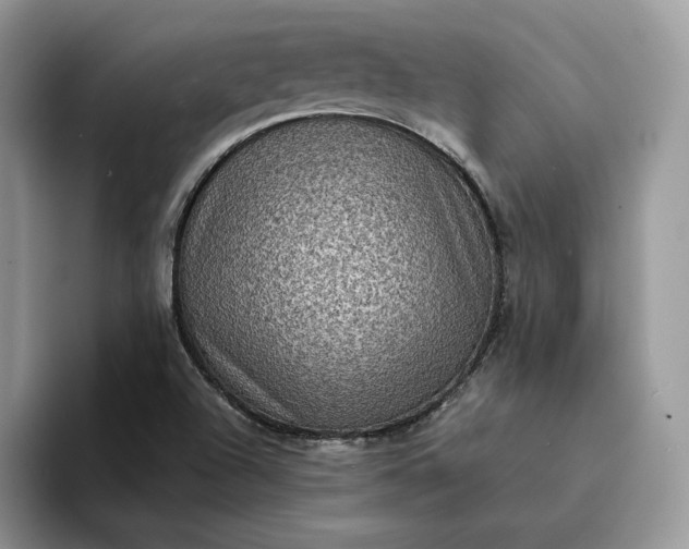 X0000094181504200711091133