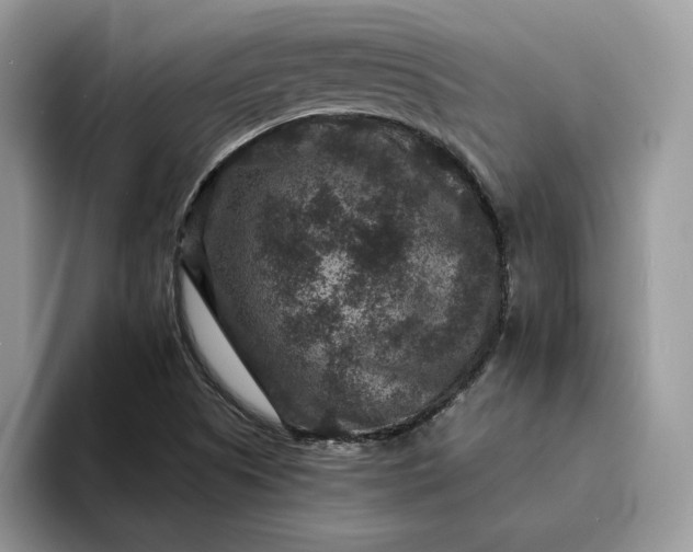 X0000094181505200711091133
