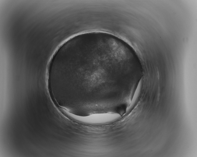 X0000094181508200711091133