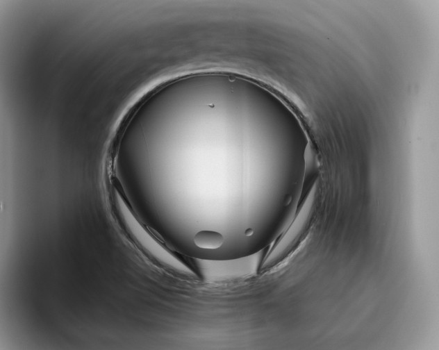 X0000094181510200711091133