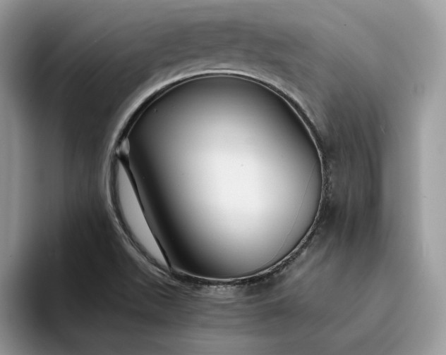 X0000094181511200711091133