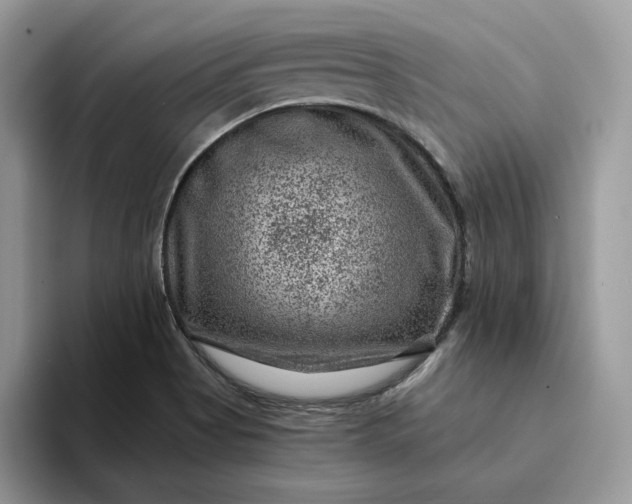 X0000094181513200711091133