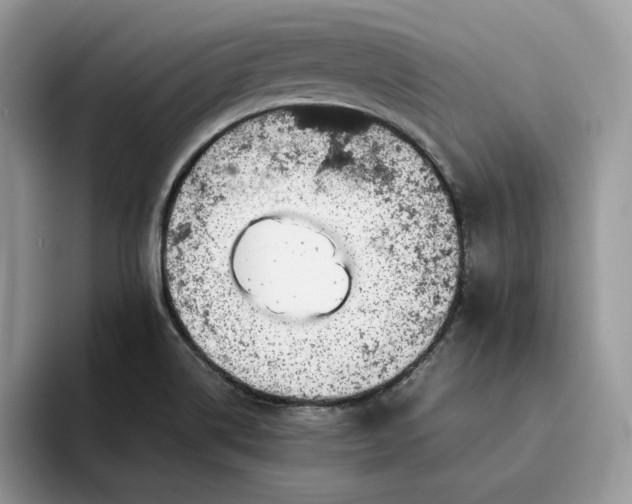 X0000094181514200711091133