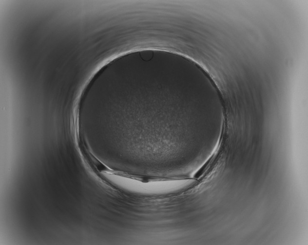 X0000094181515200711091133