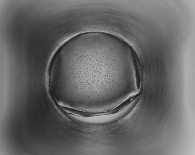 X0000094181517200711091133